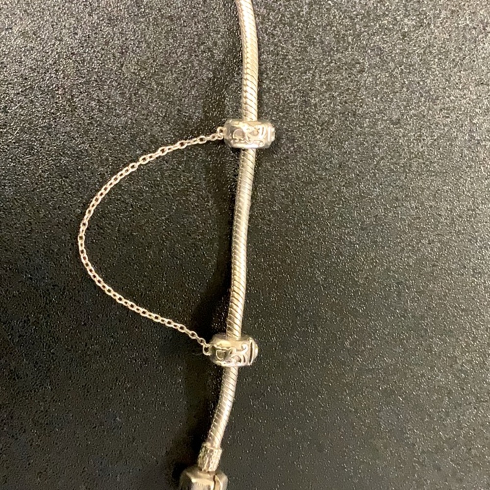 Pandora Safety Chaid